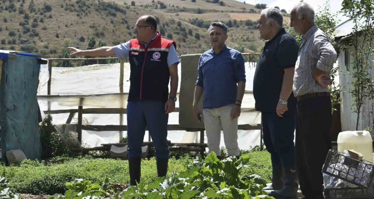 Bayburt İl Tarım ve Orman Müdürü Ebubekir Köse, İl Müdür
