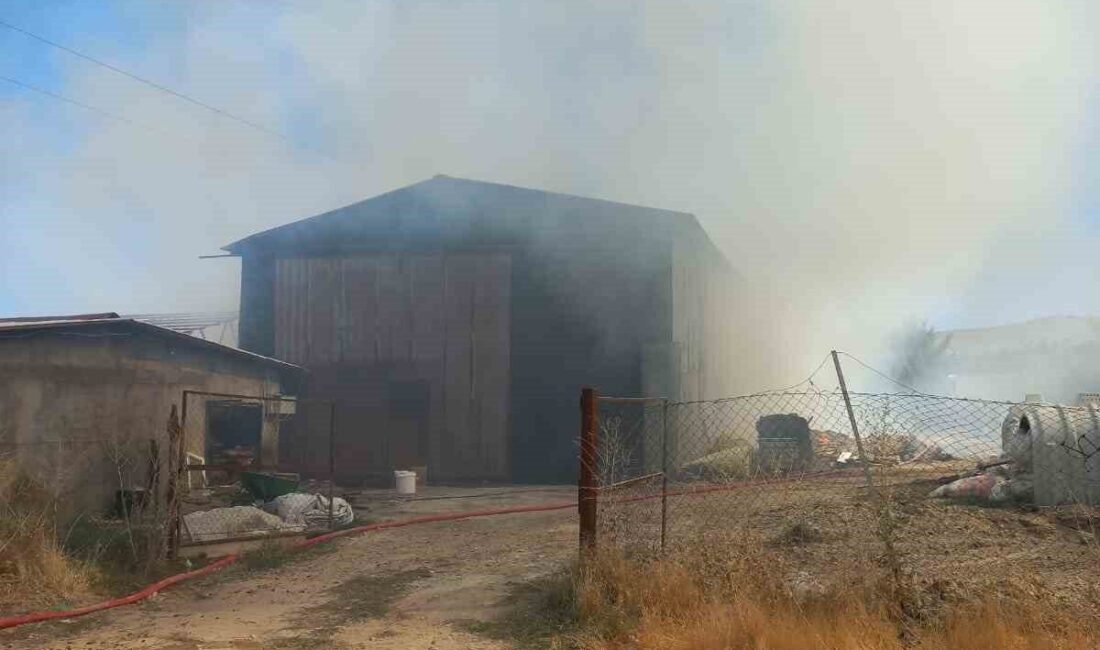 Elazığ’da bir samanlıkta çıkan yangın, itfaiye ekiplerinin uzun uğraşları sonucu