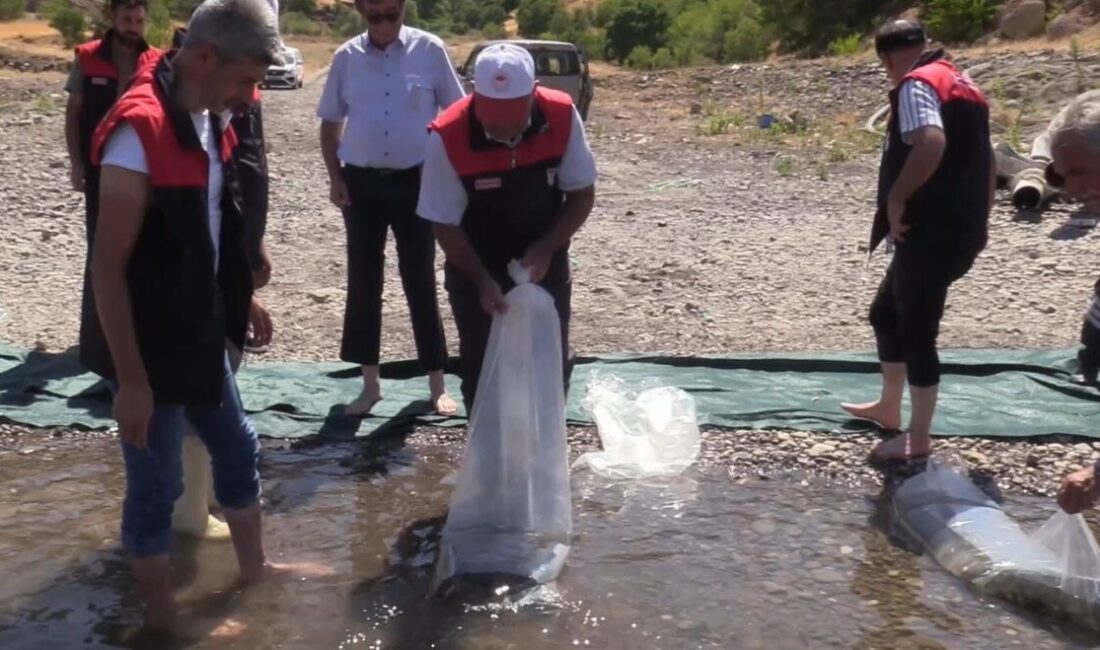 Türkiye genelinde su kaynaklarının zenginleştirilmesi için 17 milyon yavru sazan