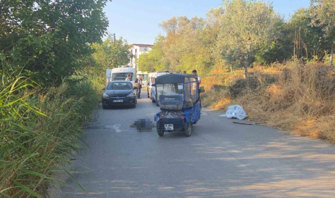 Bursa’nın Orhangazi ilçesinde bir kişinin 3 tekerlekli elektrikli moped üzerinde