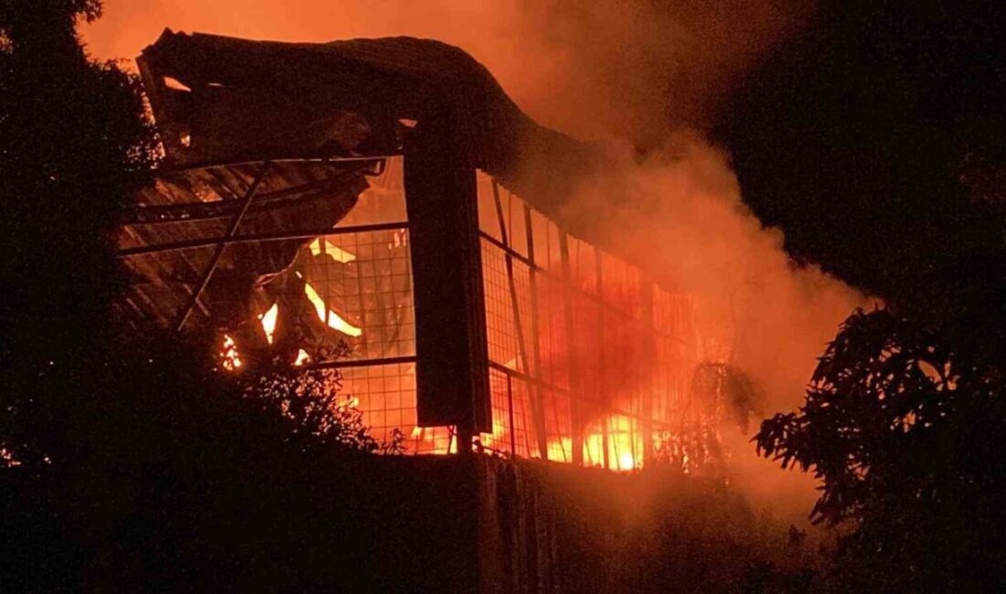 Mersin’in Erdemli ilçesinde oğullarını evlendirdikleri düğünde olan ailenin evleri ve