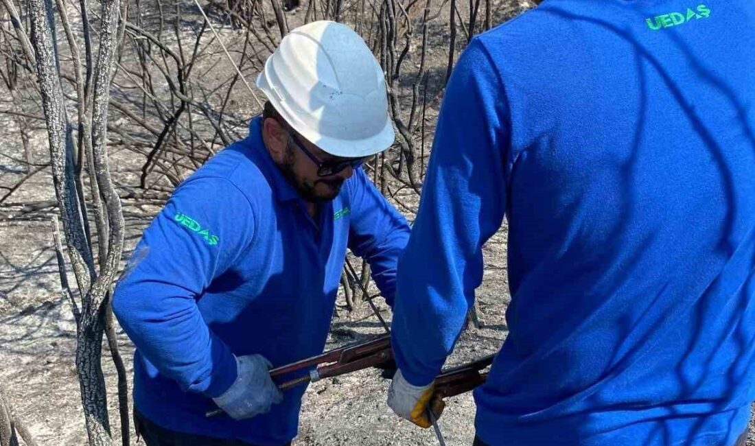 Ülke genelinde farklı bölgelerde etkili olan orman yangınlarına karşı mücadele