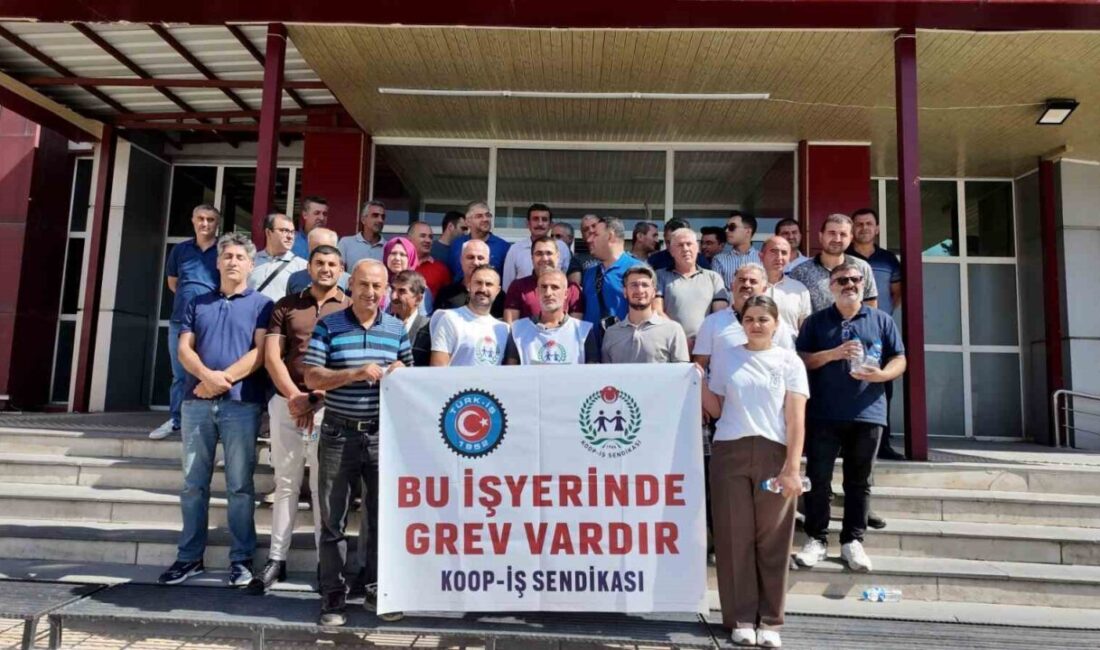 Aile ve Sosyal Hizmetler Bakanlığına bağlı Sosyal Yardımlaşma ve Dayanışma