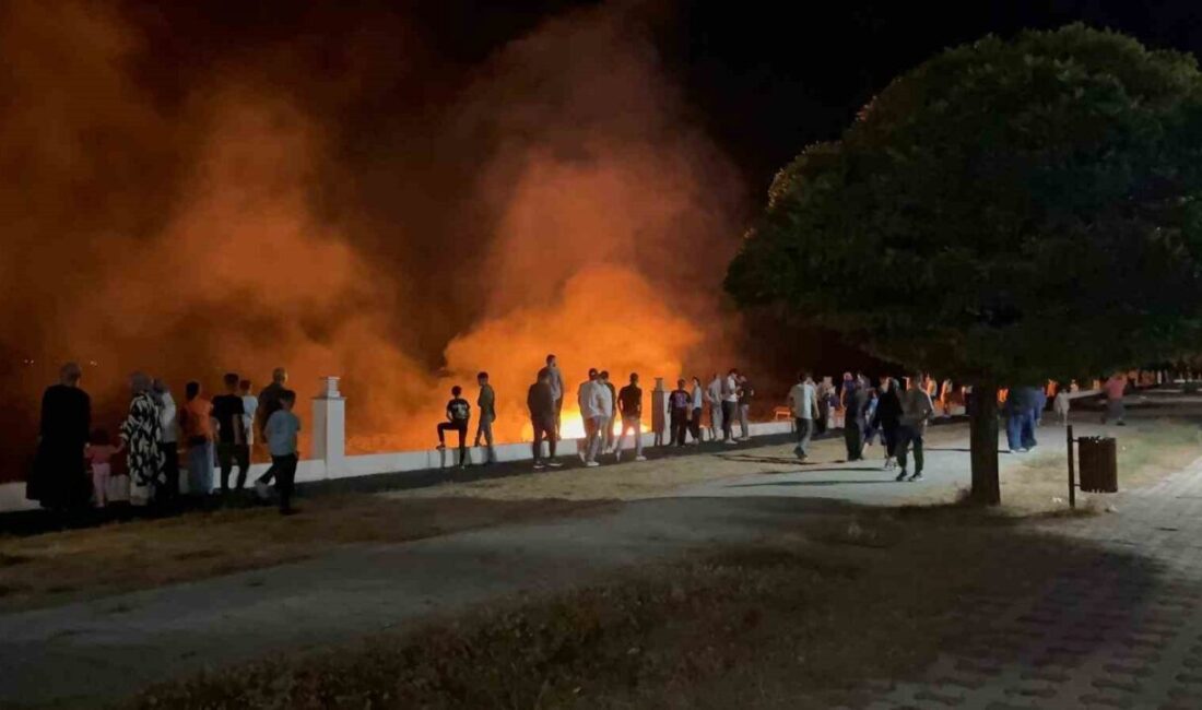 Van’ın Erciş ilçesinde çıkan anız yangını itfaiye ekipleri tarafından söndürüldü.
