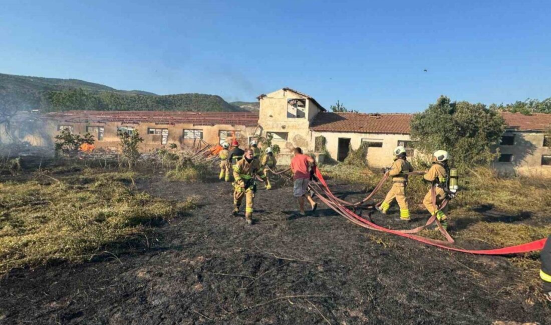 Balıkesir’in Erdek ilçesi Gedeve mevkiinde, şiddetli rüzgarın etkisiyle kopan elektrik