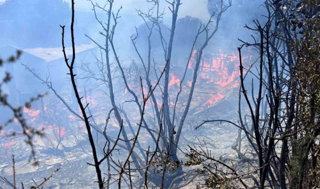 Balıkesir’in Erdek ilçesinde çıkan orman yangını, ekiplerin havadan ve karadan