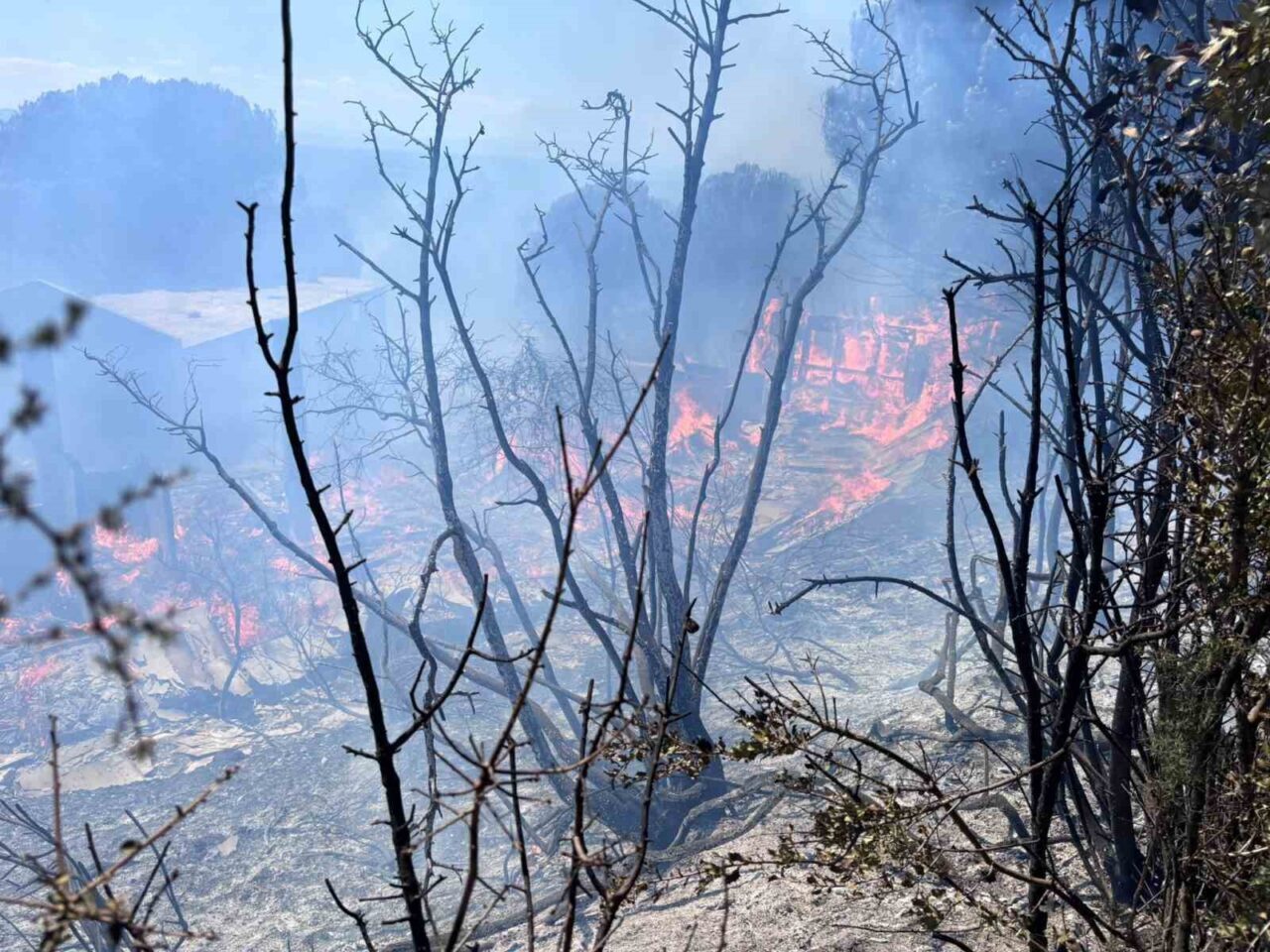 Balıkesir’in Erdek ilçesinde çıkan orman yangını, ekiplerin havadan ve karadan