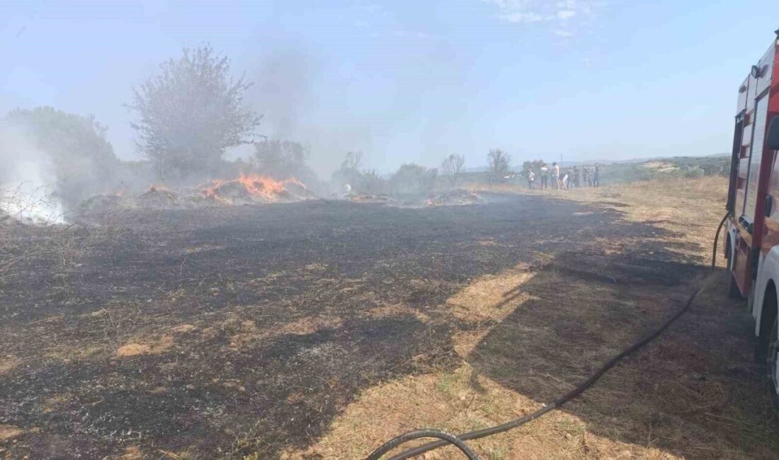 Balıkesir’in Erdek ilçesi Karşıyaka Mahallesi’nde lise arkasında bulunan zeytinlik ve