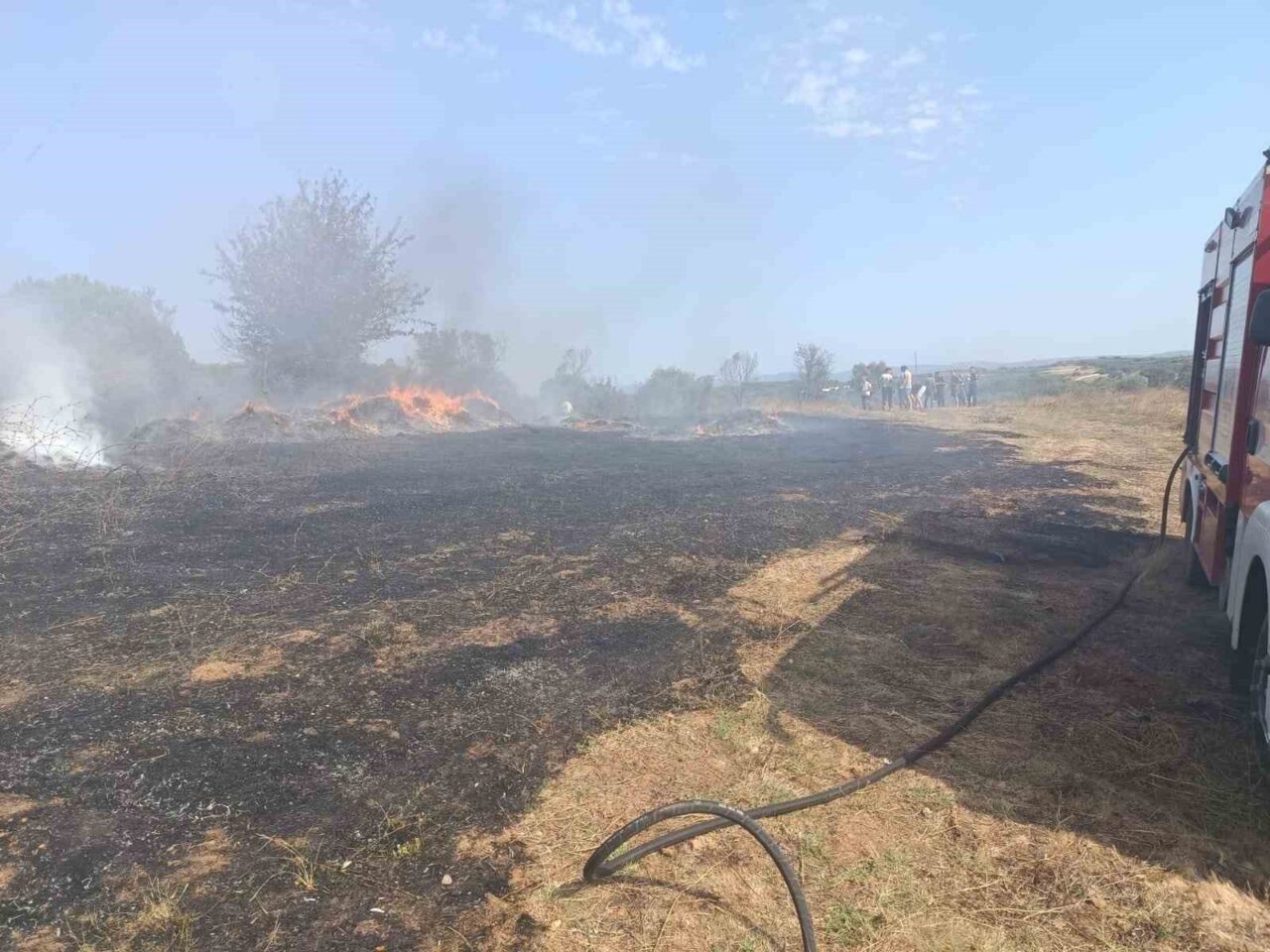 Balıkesir’in Erdek ilçesi Karşıyaka Mahallesi’nde lise arkasında bulunan zeytinlik ve