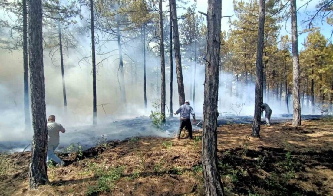 Denizli’nin Honaz ilçesinde çıkan orman yangında, 1,5 hektar alan zarar