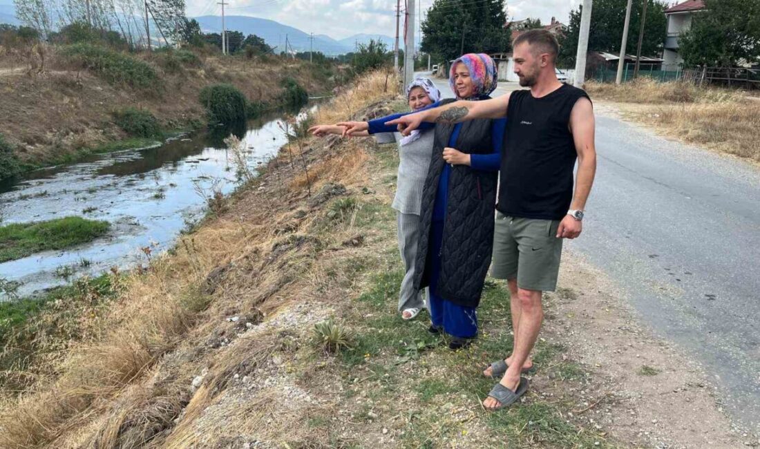 Bolu’da Erpiliç firmasına ait tavuk fabrikasından Büyüksu Deresi’ne salınan zehirli