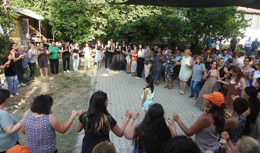 Erzincan merkeze bağlı Tatlısu köyünde bu sene ikincisi düzenlenen Çilek