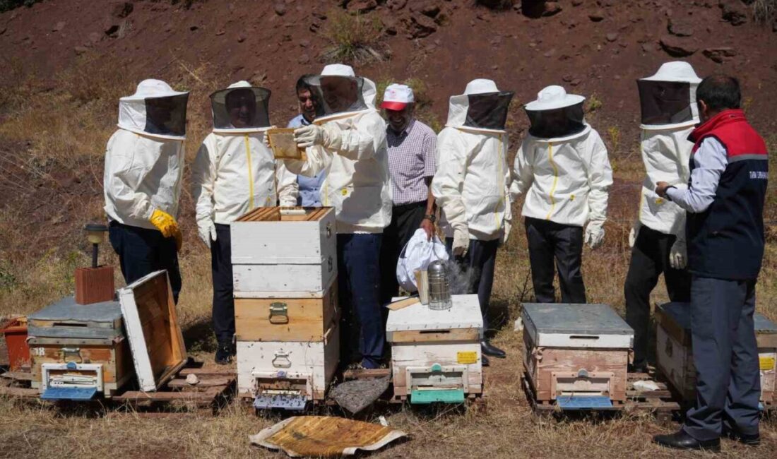 Erzincan’da Geven Balı hasadı, Vali Hamza Aydoğdu, Kültür ve Turizm