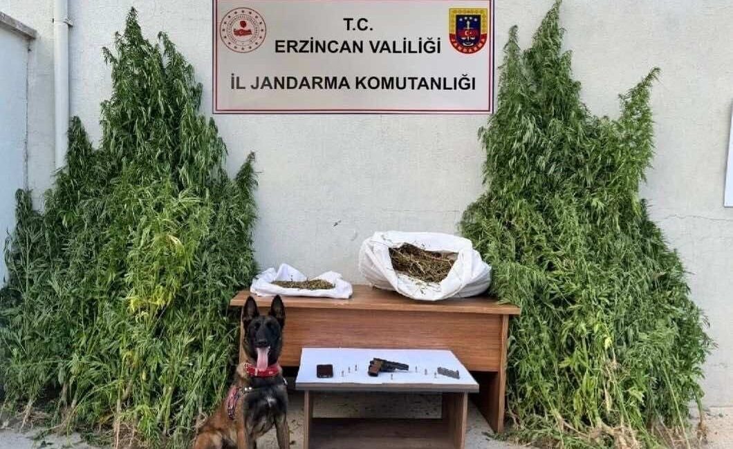 Erzincan’ın Refahiye ilçesinde bir ev ve eklentilerine jandarma ekiplerince operasyon