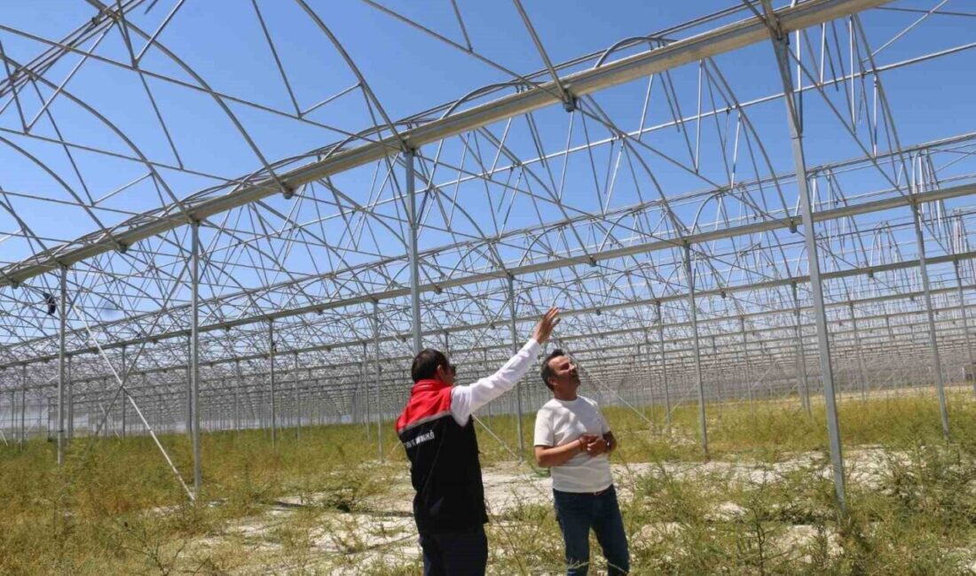 Son yıllarda Erzincan’da yapılan yatırımlarla ivme kazanan ve bölgede liderliğe