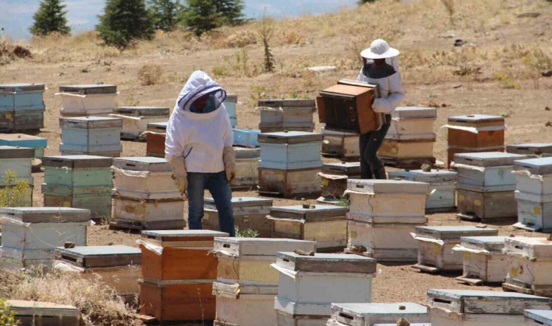 Erzincan’da geniş ve zengin bitki örtüsüne sahip yaylalarda arıcılık yapan