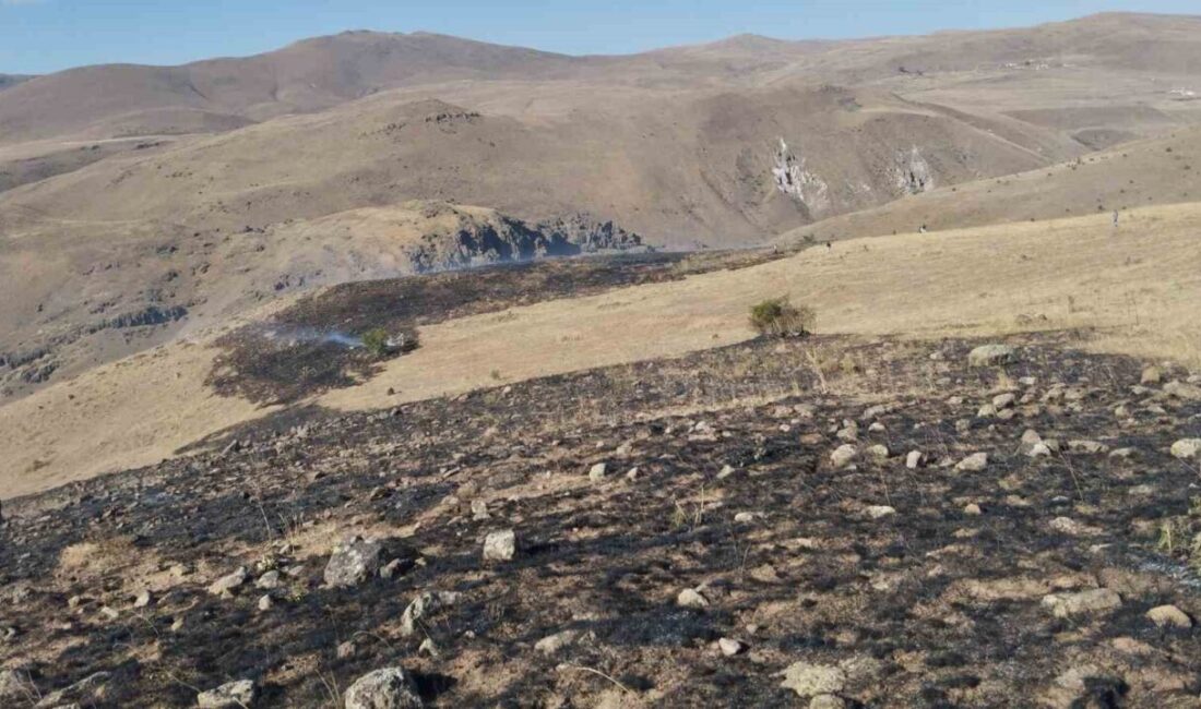 Erzurum’un Aşkale ilçesine bağlı Turaç köyünde otluk alanda yangın çıktı.