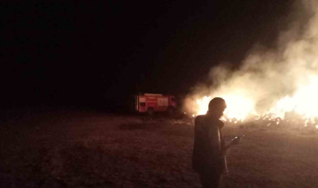 Erzurum’un Aşkale ilçesine bağlı Turaç köyünde çıkan yangında bir vatandaşın