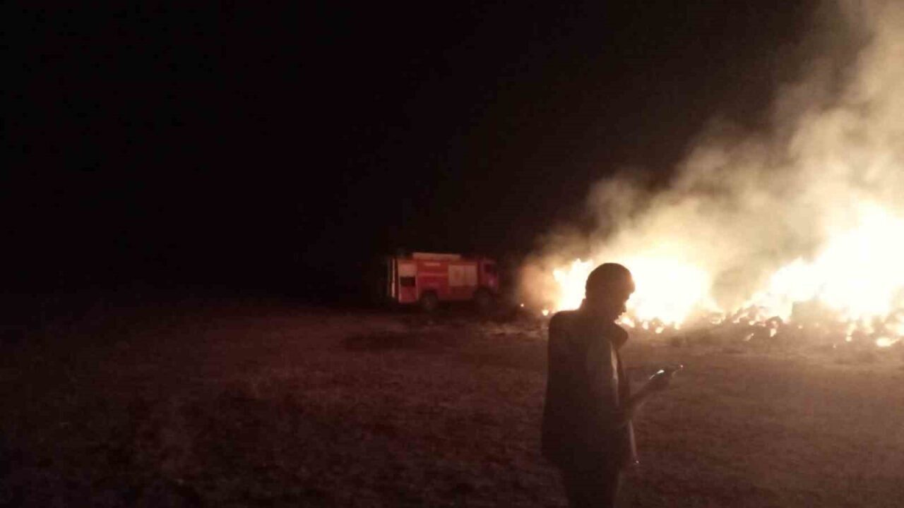 Erzurum’un Aşkale ilçesine bağlı Turaç köyünde çıkan yangında bir vatandaşın