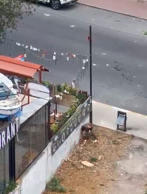 İstanbul Esenyurt’ta bir kadın, henüz bilinmeyen nedenden dolayı çevredeki motosikletlere