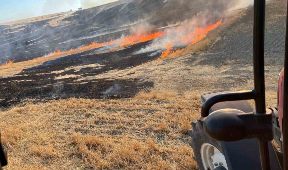 Eskişehir’de otluk alanda çıkan yangın, havadan ve karadan müdahale ile