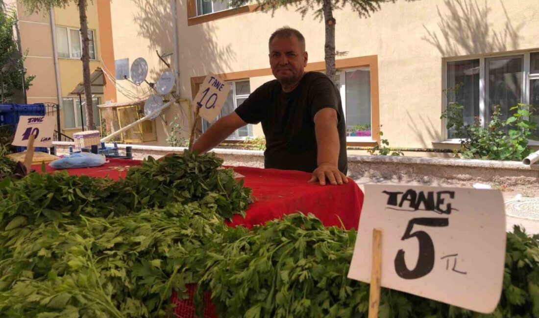 Eskişehir’deki pazarcı Selahattin Özlem, satışların geçen yıla kıyasla oldukça düştüğünü,