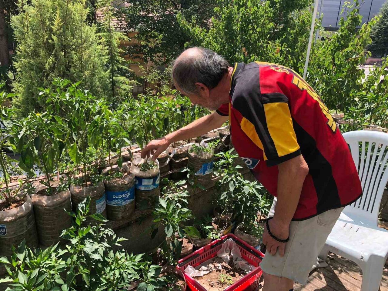 Eskişehirli Salim Pektaş, iş yerinin balkonunu sebze bahçesine dönüştürerek hem