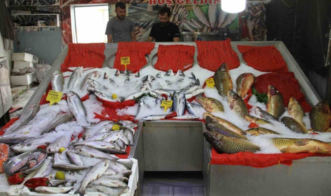 Samsun’un Çarşamba ilçesinde balıkçı esnafı, 1 Eylül itibarıyla denizlerde av