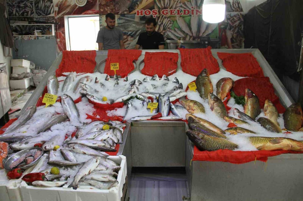 Samsun’un Çarşamba ilçesinde balıkçı esnafı, 1 Eylül itibarıyla denizlerde av