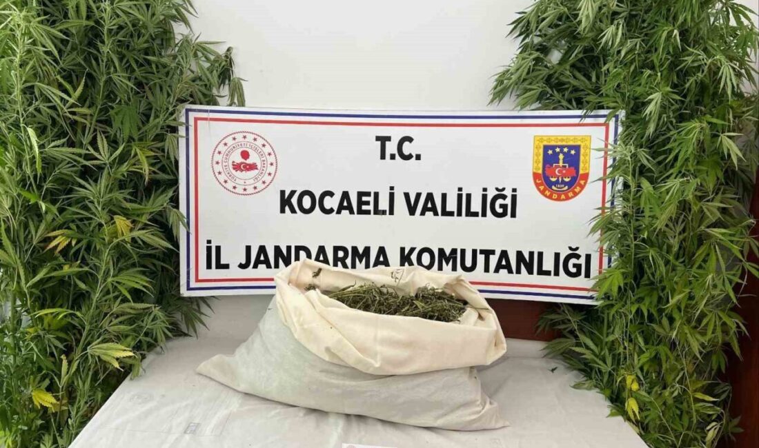 Kocaeli’nin İzmit ve Kandıra ilçelerinde yapılan operasyonlarda, 3 kilo 960
