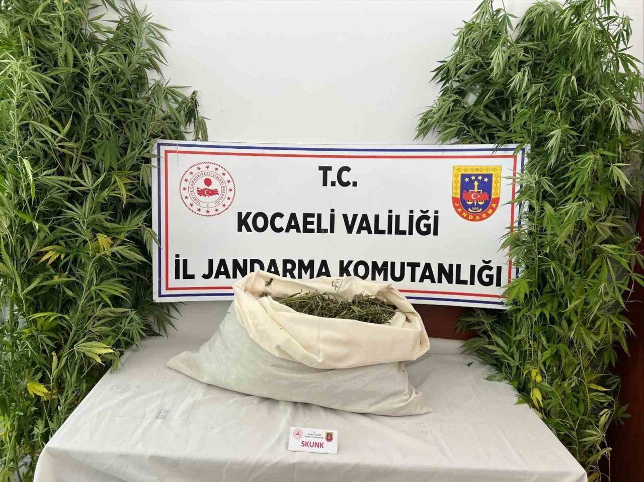 Kocaeli’nin İzmit ve Kandıra ilçelerinde yapılan operasyonlarda, 3 kilo 960