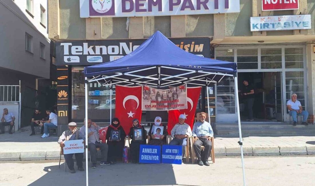 PKK tarafından dağa kaçırılan çocuklarına kavuşmak için DEM Parti İl