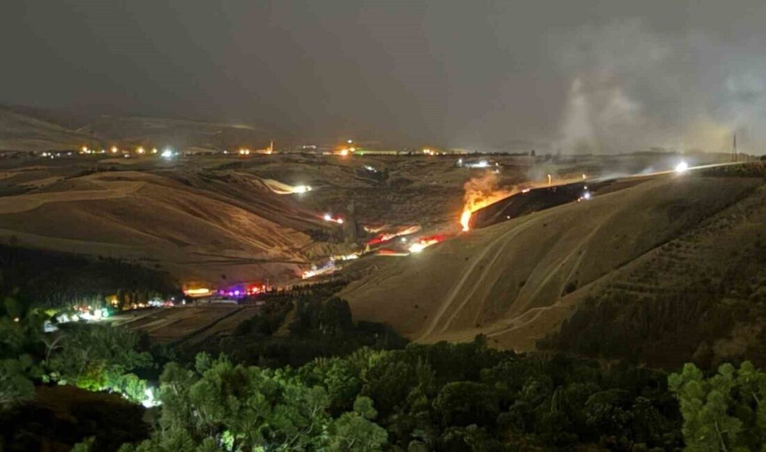 Ankara’nın Gölbaşı ilçesinde Eymir Gölü yakınlarındaki ormanlık alanda çıkan yangın