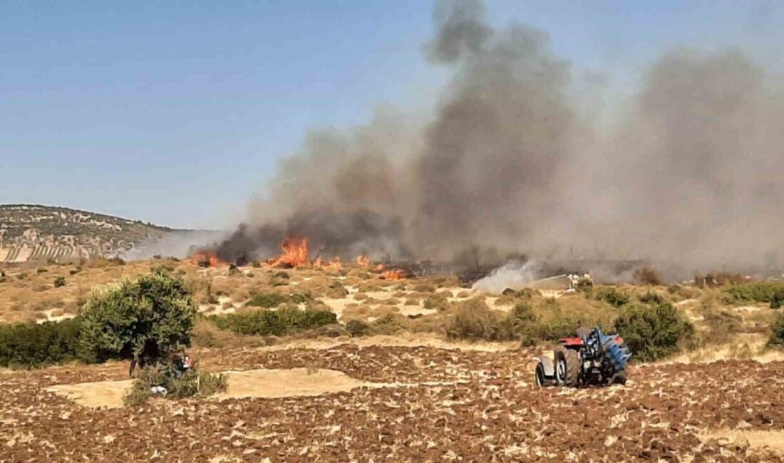 Çanakkale’nin Ezine ilçesinde başlayan orman yangını Orman Bölge Müdürlüğü ekiplerinin