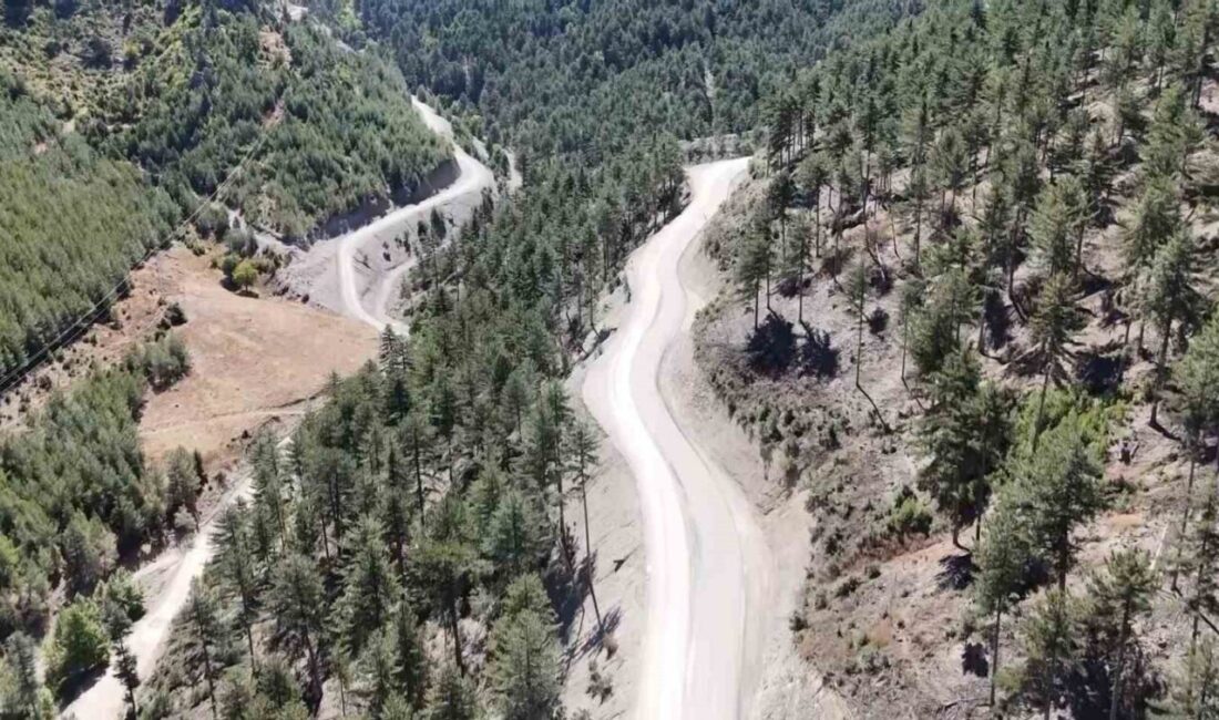 Adana’nın Feke ilçesinde 1950’li yıllarda vatandaşların imece ile açtığı bazı