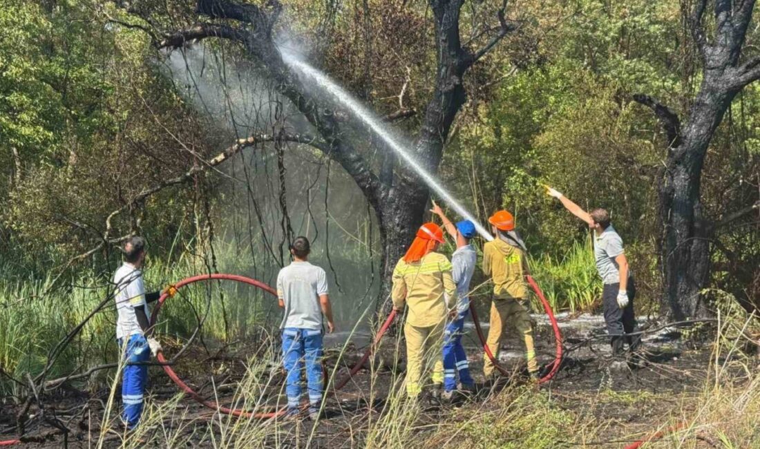 Muğla’nın Fethiye ilçesi Kargı Mahallesi Akmaz Plajı yakınlarında başlayan orman
