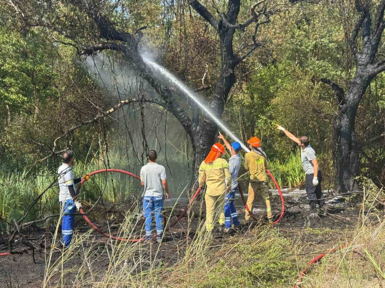 Muğla’nın Fethiye ilçesi Kargı Mahallesi Akmaz Plajı yakınlarında başlayan orman