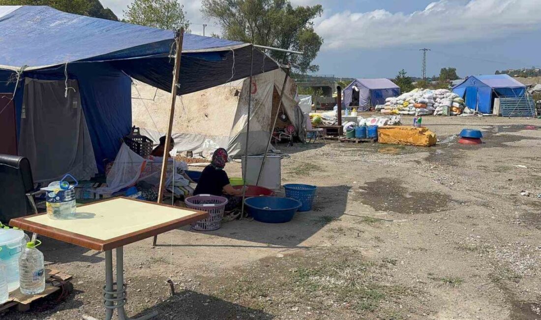 ZONGULDAK (İHA) – Zonguldak’ın Alaplı ilçesine fındık hasadı için gelen