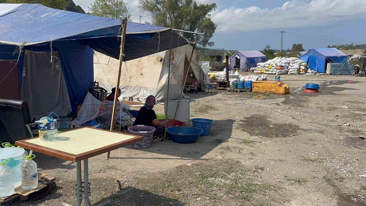 ZONGULDAK (İHA) – Zonguldak’ın Alaplı ilçesine fındık hasadı için gelen