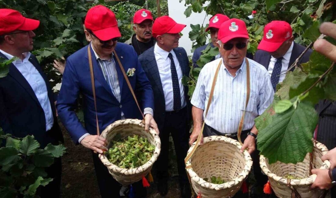 Trabzon’da bu yıl üçüncüsü düzenlenen Dünya Fındık Haftası etkinliği Türkiye