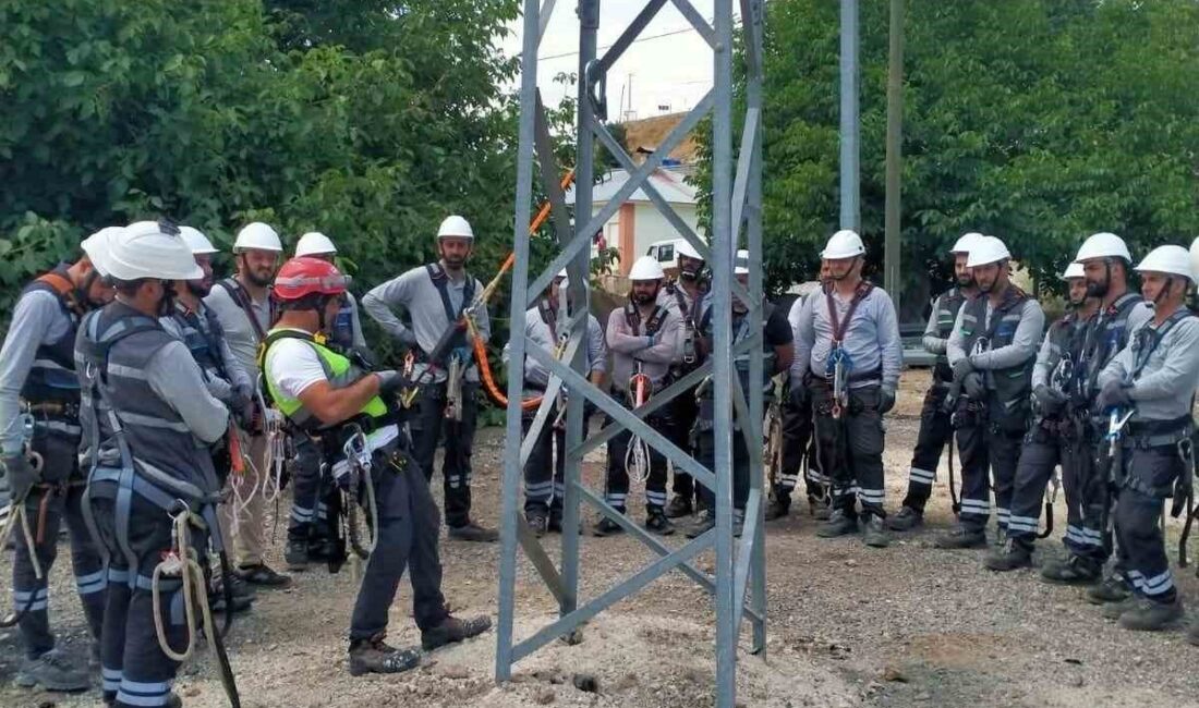 Doğu Anadolu Bölgesi’nde elektrik dağıtım hizmeti sunan Fırat Elektrik Dağıtım