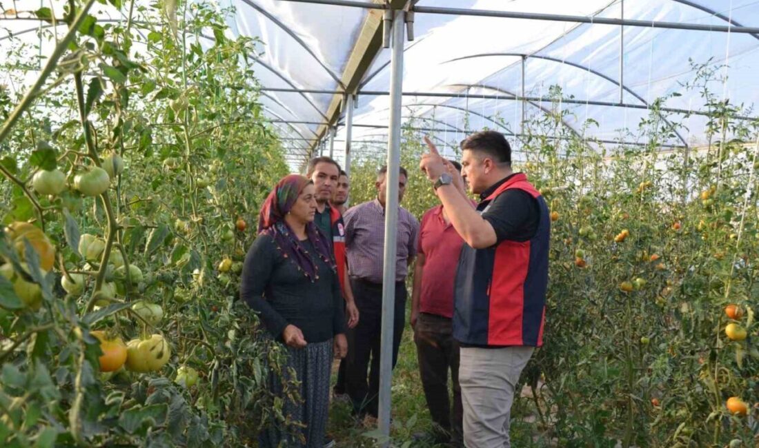 Niğde İl Tarım ve Orman Müdürü Furkan Mete; Altunhisar ilçesinde