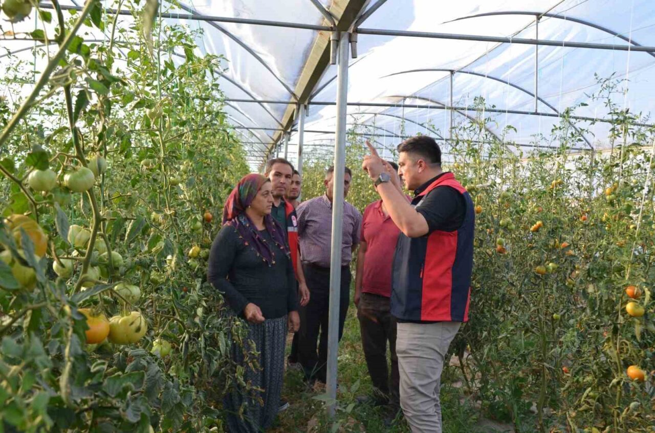 Niğde İl Tarım ve Orman Müdürü Furkan Mete; Altunhisar ilçesinde