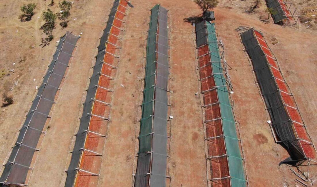 Gastronomi kenti Gaziantep’te geleneksel yemeklerinin vazgeçilmezi ve dünya mutfaklarının tercihi