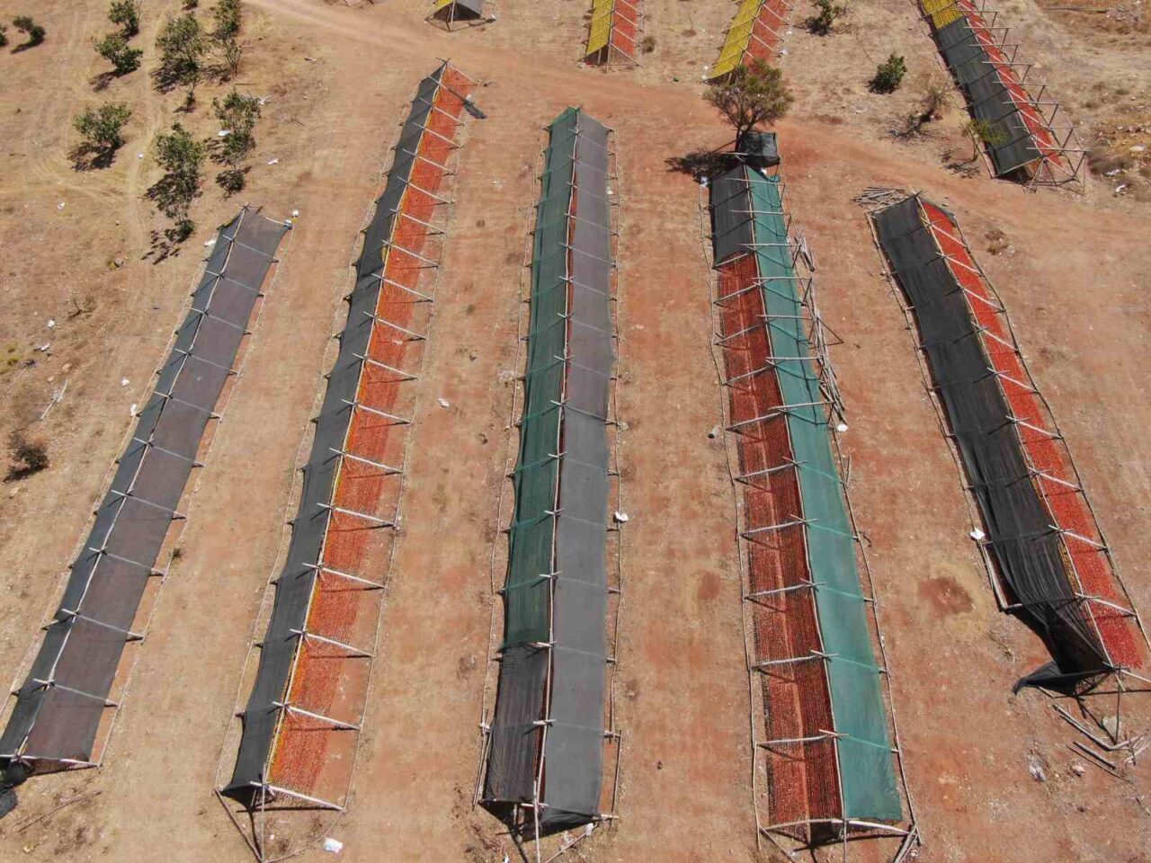 Gastronomi kenti Gaziantep’te geleneksel yemeklerinin vazgeçilmezi ve dünya mutfaklarının tercihi