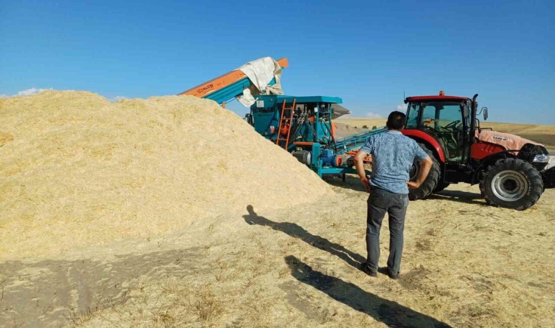 Muş’un Malazgirt ilçesinde, geçtiğimiz yıl tarlada çürüyen saman bu yıl