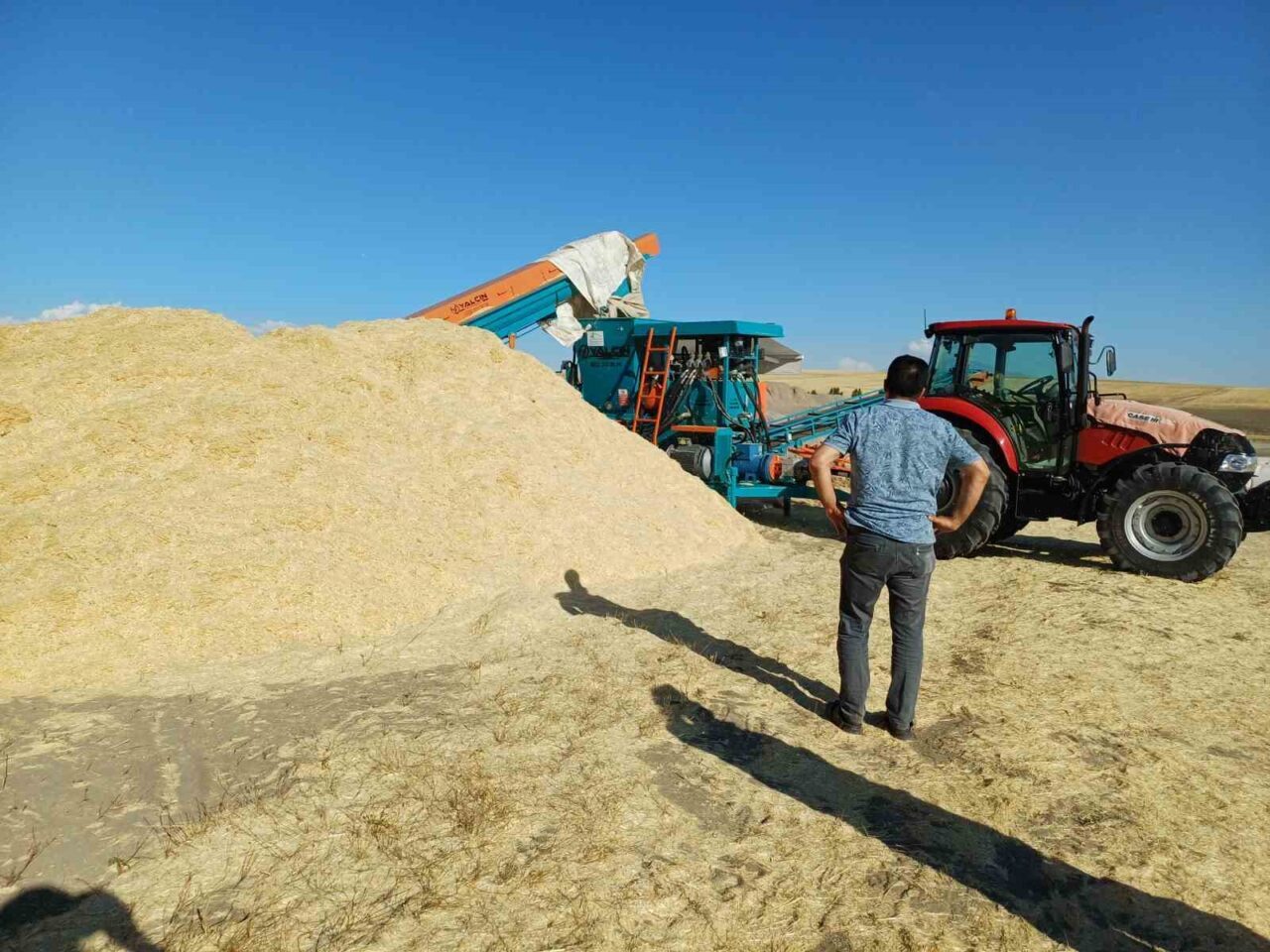 Muş’un Malazgirt ilçesinde, geçtiğimiz yıl tarlada çürüyen saman bu yıl