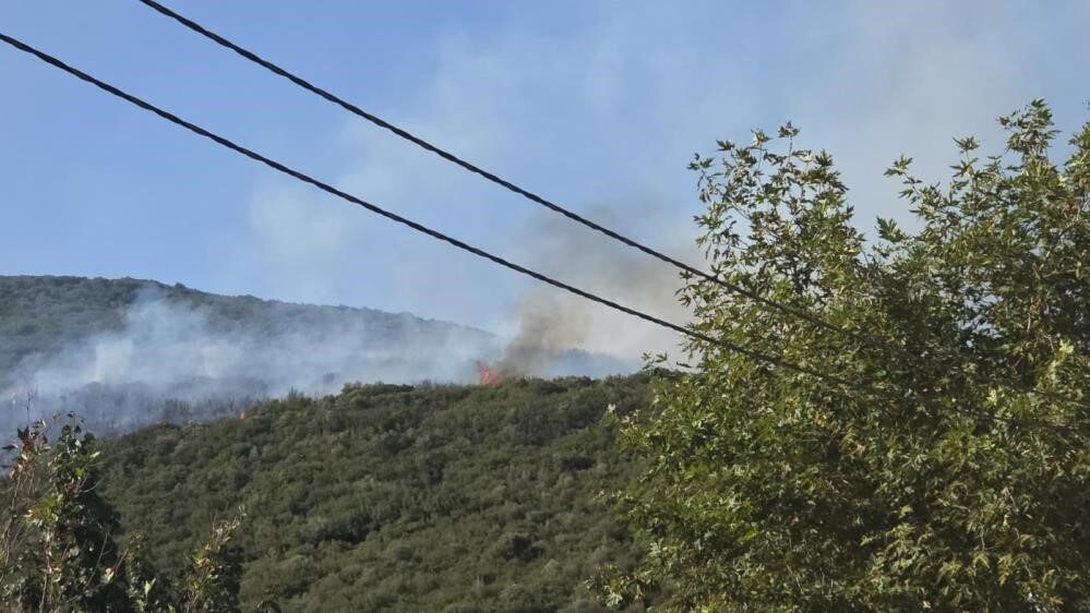 Bursa’nın Orhangazi ilçesinde dün meydana gelen orman yangını ile ilgili