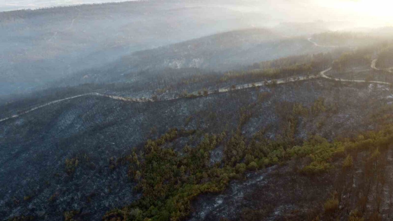 Çanakkale’nin Gelibolu ilçesinde çıkan orman yangını büyük ölçüde kontrol altına