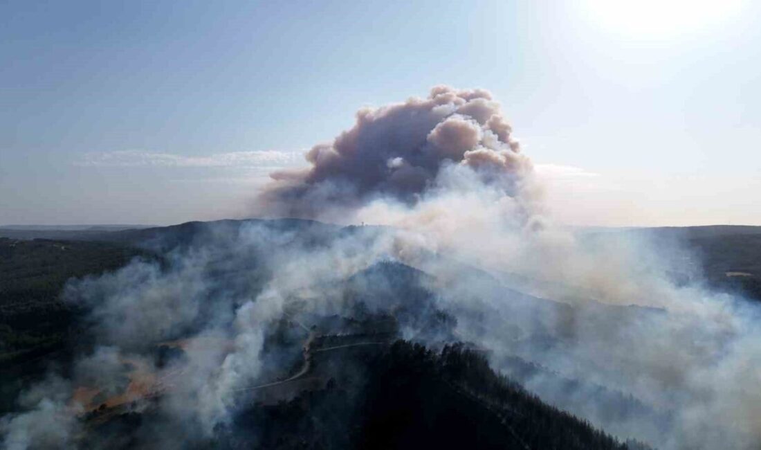 Çanakkale’nin Gelibolu ilçesinde çıkan orman yangınına Orman Bölge Müdürlüğü ekipleri